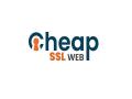 CheapSSLWeb.in is Offering Cheap SSL Certificate of Globally Recognized Certificate Authority Starting INR 0.65 per Day with 24x7 Live Dedicated Support - Hindi News | CheapSSLWeb.in is Offering Cheap SSL Certificate of Globally Recognized Certificate Authority Starting INR 0.65 per Day with 24x7 Live Dedicated Support | Latest business News at Lokmattimes.com