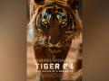 TIGER 24 Wins Yellow Rose Award At The Jaipur International Film Festival - Hindi News | TIGER 24 Wins Yellow Rose Award At The Jaipur International Film Festival | Latest business News at Lokmattimes.com