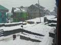 Himachal Pradesh receives fresh snowfall, more likely in next 48 hrs - Hindi News | Himachal Pradesh receives fresh snowfall, more likely in next 48 hrs | Latest national News at Lokmattimes.com