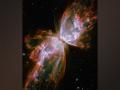 Scientists explain how Butterfly Nebula got its wings - Hindi News | Scientists explain how Butterfly Nebula got its wings | Latest technology News at Lokmattimes.com