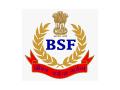 West Bengal: Bangaledeshi smugglers attack BSF jawan in Nadia district - Hindi News | West Bengal: Bangaledeshi smugglers attack BSF jawan in Nadia district | Latest national News at Lokmattimes.com