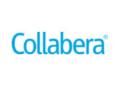 Collabera, LLC Welcomes Mike Fromhold as New Chief Executive Officer - Hindi News | Collabera, LLC Welcomes Mike Fromhold as New Chief Executive Officer | Latest business News at Lokmattimes.com