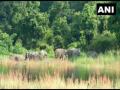 Kaziranga National Park to open on February 4 - Hindi News | Kaziranga National Park to open on February 4 | Latest national News at Lokmattimes.com