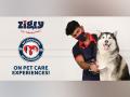 Zigly's brand campaign encourages 'No Compromise' on pet care - Hindi News | Zigly's brand campaign encourages 'No Compromise' on pet care | Latest business News at Lokmattimes.com