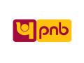PNB's exposure to Adani Group not a matter of worry, says bank chief - Hindi News | PNB's exposure to Adani Group not a matter of worry, says bank chief | Latest business News at Lokmattimes.com
