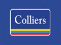Colliers expands Pune leadership, appoints Ruchika Choudaha as Senior Director and Head, Office Services - Hindi News | Colliers expands Pune leadership, appoints Ruchika Choudaha as Senior Director and Head, Office Services | Latest business News at Lokmattimes.com
