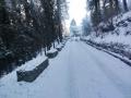 Snowfall disrupts normal life in several parts of Himachal Pradesh - Hindi News | Snowfall disrupts normal life in several parts of Himachal Pradesh | Latest national News at Lokmattimes.com