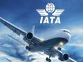Indian Air Travel is now at 85 per cent of 2019 level, says IATA - Hindi News | Indian Air Travel is now at 85 per cent of 2019 level, says IATA | Latest international News at Lokmattimes.com