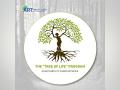 ART Fertility Clinics launches the "Tree Of Life" Program as a Tribute to Life in All its Forms - Hindi News | ART Fertility Clinics launches the "Tree Of Life" Program as a Tribute to Life in All its Forms | Latest business News at Lokmattimes.com