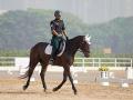 National Championship: Equestrians qualify for next round of Dressage events - Hindi News | National Championship: Equestrians qualify for next round of Dressage events | Latest other-sports News at Lokmattimes.com