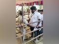 Counting begins for bypolls in five states including TN, WB, Maharashtra - Hindi News | Counting begins for bypolls in five states including TN, WB, Maharashtra | Latest politics News at Lokmattimes.com