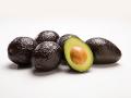 Westfalia Avocado new season launched in India - Hindi News | Westfalia Avocado new season launched in India | Latest business News at Lokmattimes.com