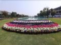 Flower Fiesta at Central Park Flower Valley: A mesmerising treat for garden lovers - Hindi News | Flower Fiesta at Central Park Flower Valley: A mesmerising treat for garden lovers | Latest business News at Lokmattimes.com