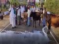 Erode: Dairy farmers throw milk on road demanding increase in procurement prices - Hindi News | Erode: Dairy farmers throw milk on road demanding increase in procurement prices | Latest national News at Lokmattimes.com