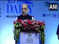After independence India's milk production increased 10-fold: Amit Shah - Hindi News | After independence India's milk production increased 10-fold: Amit Shah | Latest national News at Lokmattimes.com