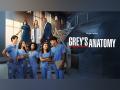'Grey's Anatomy' renewed for Season 20, Meg Marinis to take over as showrunner - Hindi News | 'Grey's Anatomy' renewed for Season 20, Meg Marinis to take over as showrunner | Latest entertainment News at Lokmattimes.com