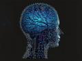 Study shows artificial Intelligence can predict genetics of cancerous brain tumors - Hindi News | Study shows artificial Intelligence can predict genetics of cancerous brain tumors | Latest technology News at Lokmattimes.com