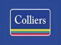 Colliers expands capital markets &amp; investment business across asset classes - Hindi News | Colliers expands capital markets &amp; investment business across asset classes | Latest business News at Lokmattimes.com