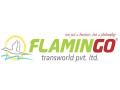 Flamingo Transworld takes user experience to new heights with a website makeover - Hindi News | Flamingo Transworld takes user experience to new heights with a website makeover | Latest business News at Lokmattimes.com