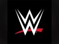 WWE and UFC merge to form USD 21 bln sports entertainment company - Hindi News | WWE and UFC merge to form USD 21 bln sports entertainment company | Latest business News at Lokmattimes.com