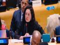India defends its claim to permanent membership at UNSC - Hindi News | India defends its claim to permanent membership at UNSC | Latest international News at Lokmattimes.com