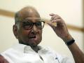 "It seems targeted...no need of JPC": Sharad Pawar on Hindenburg report concerning Adani group - Hindi News | "It seems targeted...no need of JPC": Sharad Pawar on Hindenburg report concerning Adani group | Latest politics News at Lokmattimes.com