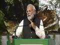 India's biodiversity key to growing tiger population: PM Modi - Hindi News | India's biodiversity key to growing tiger population: PM Modi | Latest national News at Lokmattimes.com