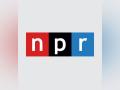 NPR stops using Twitter after Elon Musk's "state-affiliated media" remarks - Hindi News | NPR stops using Twitter after Elon Musk's "state-affiliated media" remarks | Latest international News at Lokmattimes.com