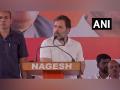 "RSS, BJP attacking democracy..." Rahul Gandhi in poll-bound Karnataka - Hindi News | "RSS, BJP attacking democracy..." Rahul Gandhi in poll-bound Karnataka | Latest politics News at Lokmattimes.com