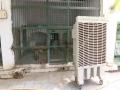 To beat rising temperatures, air coolers installed for animals at Ahmedabad Zoo - Hindi News | To beat rising temperatures, air coolers installed for animals at Ahmedabad Zoo | Latest national News at Lokmattimes.com