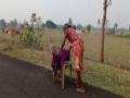 Odisha: 70-year-old woman walks miles barefoot with support of broken chair to collect pension money - Hindi News | Odisha: 70-year-old woman walks miles barefoot with support of broken chair to collect pension money | Latest national News at Lokmattimes.com