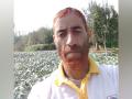Cultivation of exotic vegetables changes Kashmir agriculturist's fate - Hindi News | Cultivation of exotic vegetables changes Kashmir agriculturist's fate | Latest national News at Lokmattimes.com