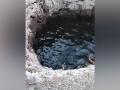 Bodies of 3 sisters found floating in well in MP's Dhar, mother missing - Hindi News | Bodies of 3 sisters found floating in well in MP's Dhar, mother missing | Latest national News at Lokmattimes.com