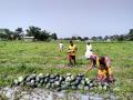 Farmers suffer crop losses due to rain in Assam's Morigaon, appeal to govt for help - Hindi News | Farmers suffer crop losses due to rain in Assam's Morigaon, appeal to govt for help | Latest national News at Lokmattimes.com