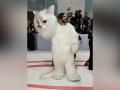 Jared Leto transforms into Karl Lagerfeld's cat at Met Gala 2023 - Hindi News | Jared Leto transforms into Karl Lagerfeld's cat at Met Gala 2023 | Latest entertainment News at Lokmattimes.com