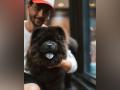 Meet new member of Aayush Sharma's family - Hindi News | Meet new member of Aayush Sharma's family | Latest entertainment News at Lokmattimes.com