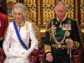 Royal Palace removes 'consort' from Camilla title on website, replaces with 'Queen' - Hindi News | Royal Palace removes 'consort' from Camilla title on website, replaces with 'Queen' | Latest entertainment News at Lokmattimes.com