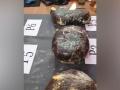 Tamil Nadu: DRI seizes 18.1 kg Ambergris worth over Rs 30 cr at Tuticorin Coast, 4 held - Hindi News | Tamil Nadu: DRI seizes 18.1 kg Ambergris worth over Rs 30 cr at Tuticorin Coast, 4 held | Latest national News at Lokmattimes.com