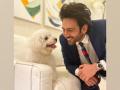 Kartik Aaryan drops adorable video with his pet Katori, fans call them "cutest pair" - Hindi News | Kartik Aaryan drops adorable video with his pet Katori, fans call them "cutest pair" | Latest entertainment News at Lokmattimes.com