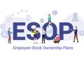 Labdhi Lifestyle announces Employee Stock Ownership Plans (ESOPs) - Hindi News | Labdhi Lifestyle announces Employee Stock Ownership Plans (ESOPs) | Latest business News at Lokmattimes.com