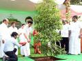 Tamil Nadu CM Stalin launches mass tree planting drive - Hindi News | Tamil Nadu CM Stalin launches mass tree planting drive | Latest national News at Lokmattimes.com