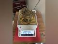 Kerala: Customs dept seizes gold worth Rs 1.21 crores at Kochi airport - Hindi News | Kerala: Customs dept seizes gold worth Rs 1.21 crores at Kochi airport | Latest national News at Lokmattimes.com