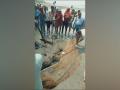 Bihar: Crocodile beaten to death after it kills 14-yr-old in Vaishali, probe on - Hindi News | Bihar: Crocodile beaten to death after it kills 14-yr-old in Vaishali, probe on | Latest national News at Lokmattimes.com