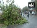Gujarat: Trees uprooted, hoardings fall in Dwarka as cyclone Biparjoy makes landfall - Hindi News | Gujarat: Trees uprooted, hoardings fall in Dwarka as cyclone Biparjoy makes landfall | Latest national News at Lokmattimes.com