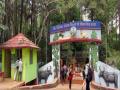Chhattisgarh: Exotic birds die after failing to adapt to climate at Jagdalpur Bird Park - Hindi News | Chhattisgarh: Exotic birds die after failing to adapt to climate at Jagdalpur Bird Park | Latest national News at Lokmattimes.com