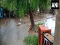 Cyclone Biparjoy: Heavy rains cause waterlogging in parts of Rajasthan - Hindi News | Cyclone Biparjoy: Heavy rains cause waterlogging in parts of Rajasthan | Latest national News at Lokmattimes.com