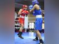 6th Youth Women's National Boxing C'ship: Nine Haryana boxers seal semifinal spots - Hindi News | 6th Youth Women's National Boxing C'ship: Nine Haryana boxers seal semifinal spots | Latest other-sports News at Lokmattimes.com