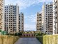 Ekta Parksville Homes at Virar to soon receive OC - Hindi News | Ekta Parksville Homes at Virar to soon receive OC | Latest business News at Lokmattimes.com