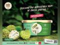 NIC Honestly Crafted Ice Creams introduces exquisite Sitaphal Ice Cream, redefining indulgence - Hindi News | NIC Honestly Crafted Ice Creams introduces exquisite Sitaphal Ice Cream, redefining indulgence | Latest business News at Lokmattimes.com