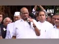 NCP chief Sharad Pawar removes Praful Patel, Sunil Tatkare from party - Hindi News | NCP chief Sharad Pawar removes Praful Patel, Sunil Tatkare from party | Latest politics News at Lokmattimes.com